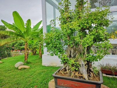 糖心VLGO治愈生活作品四