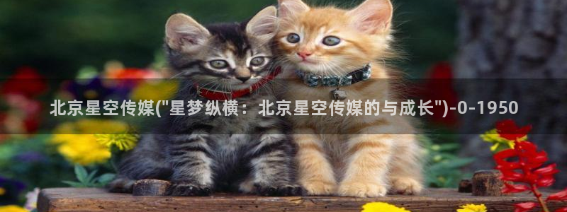 星空传媒王娜娜