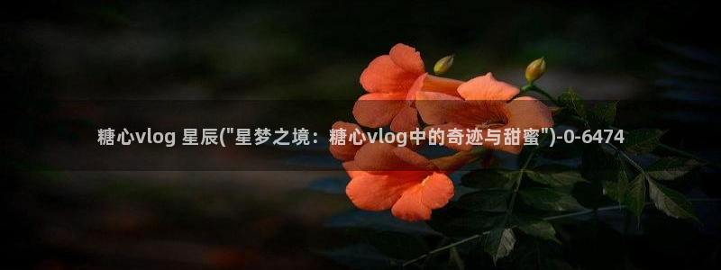 糖心vlog免费版下载%：糖心vlog 星辰(\