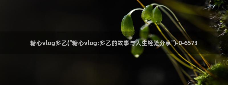 糖心vlogvlog：糖心vlog多乙(\