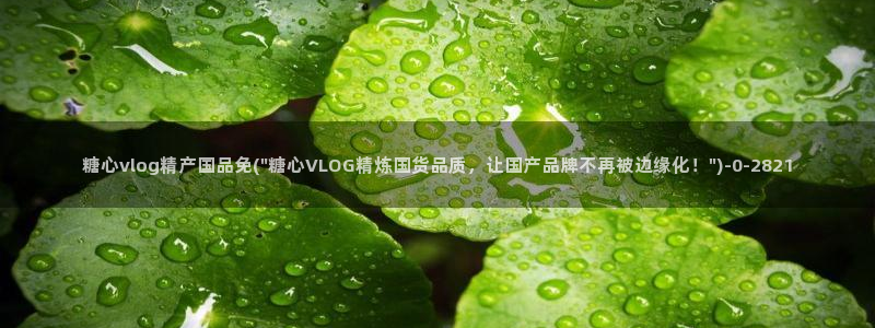 糖vlog心