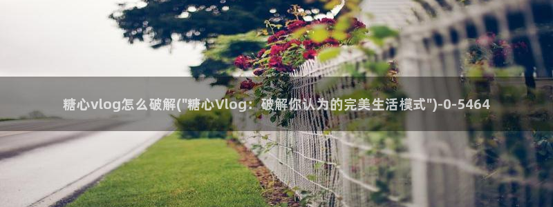 糖心vlog破解版免费