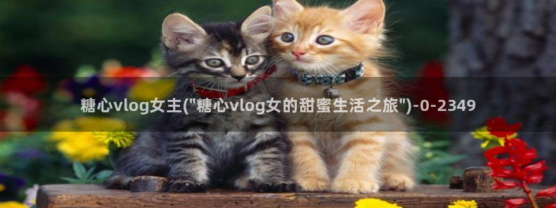 糖心vlog官网在线下载